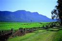 Wines of Australia