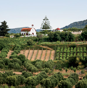 Greek Wine Tasting @ Mills Fine Wine & Spirits | Annapolis | Maryland | United States