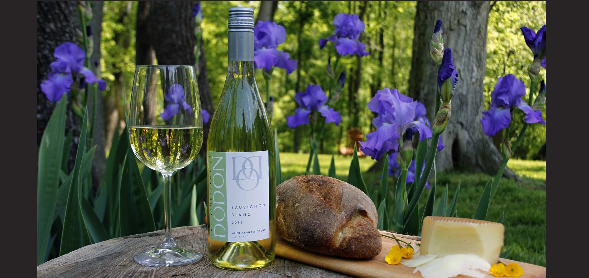 Dodon Vineyards Wine Tasting